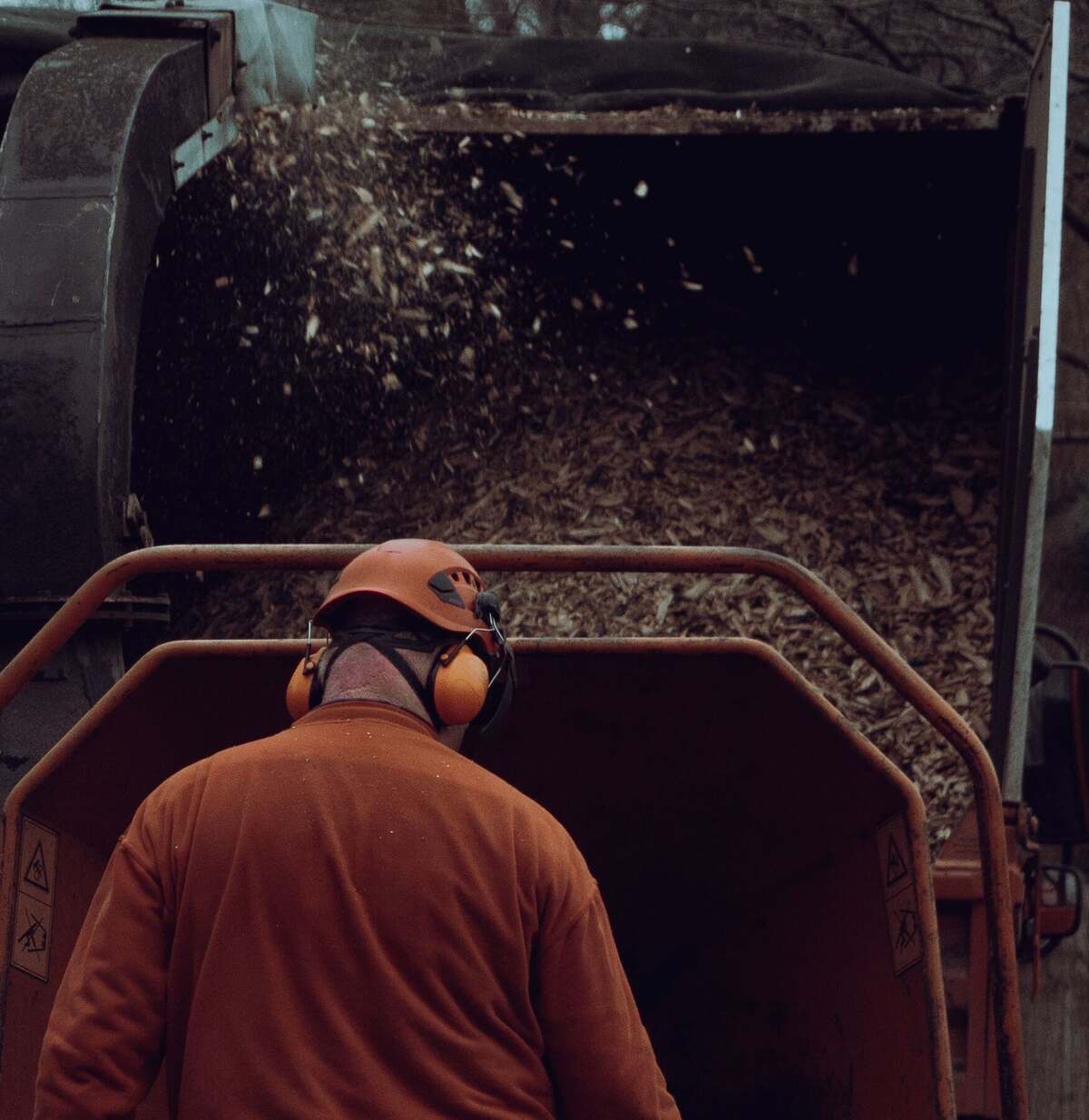 Person in orange hard hat with orange ear protection wearing a rust-brown long-sleeve top, standing with back to the camera in front of an orange wood chipper while shredded wood blows from a black discharge chute into a dark truck body
